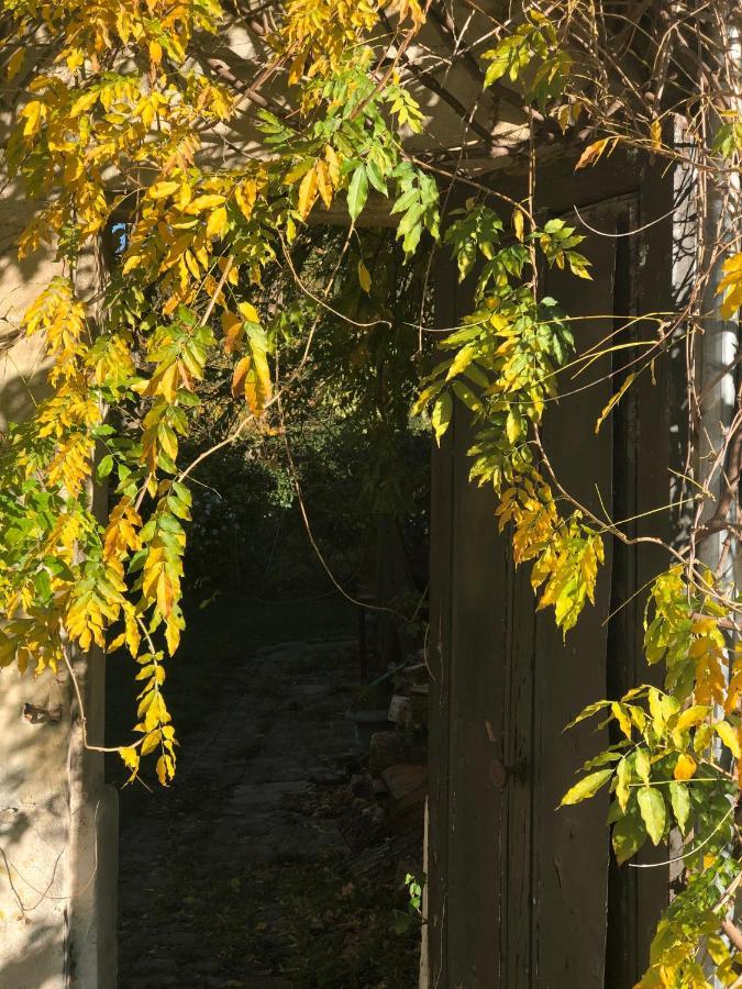 Villa Dans Un Cadre Exceptionnel, Ferme Renovee A 17Km De Paris Boissy-Saint-Léger Exterior foto